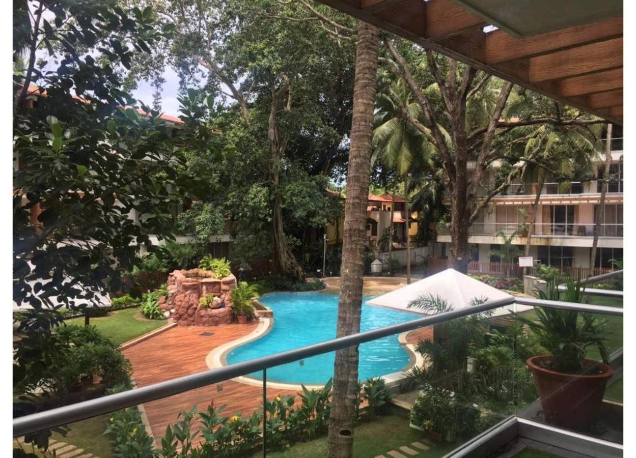 Aarju Luxurious Stay 卡兰古特 外观 照片